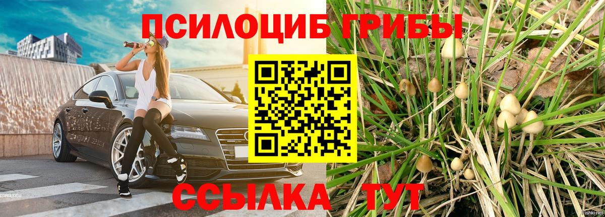 Кыштым  Галлюциногенные грибы GOLDEN TEACHER  Вход с VPN 