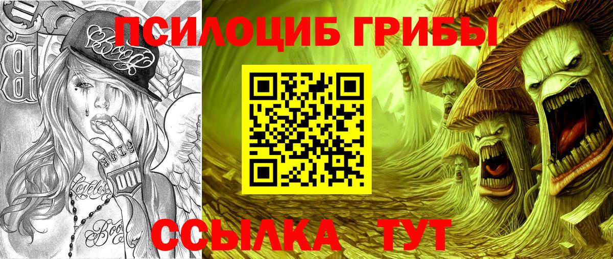Псилоцибиновые грибы мицелий Кыштым